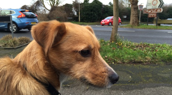 All quiet on The Mall