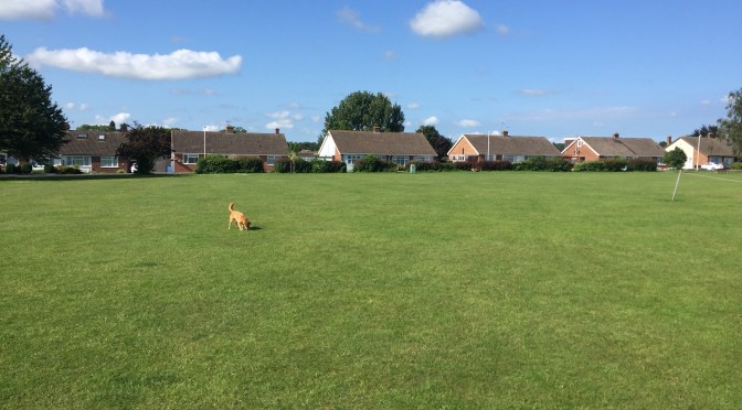 How should Faversham grow?